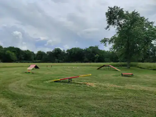 This image shows a dog training field with equipment, inspiring J&P Coatings for durable concrete patio ideas.