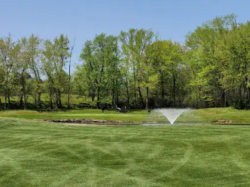 A calm park scene suggests how J&P Coatings can make outdoor spaces more beautiful and welcoming.