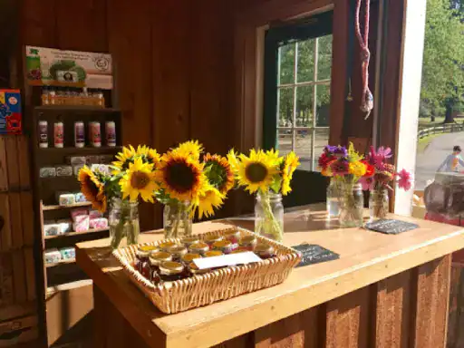 Fresh flowers in jars sit on a counter near a basket of small jars, creating a cheerful scene inside a country shop. This warm and inviting setting is great inspiration for J&P Coatings’ concrete patio finishes. Alt text: Cheerful flower display inspires J&P Coatings’ patio finish ideas.