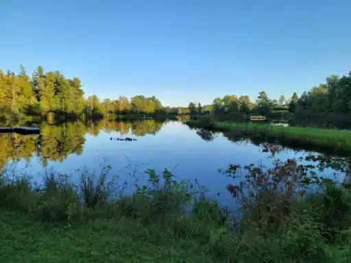 A peaceful lakeside scene shows nature and a yellow bus by the water. J&P Coatings is known for working in this Ohio area.