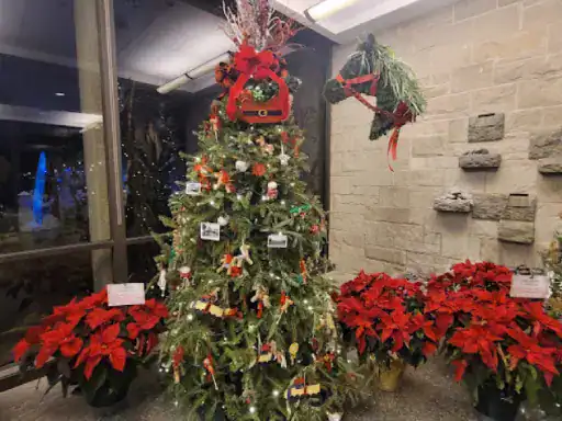 A room by J&P Coatings shows a shiny floor with a Christmas tree and red poinsettias. The scene feels warm and festive. Alt text: Room by J&P Coatings with holiday decorations and a polished floor.