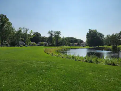 J&P Coatings draws patio inspiration from a sunny park scene with open space and peaceful surroundings.