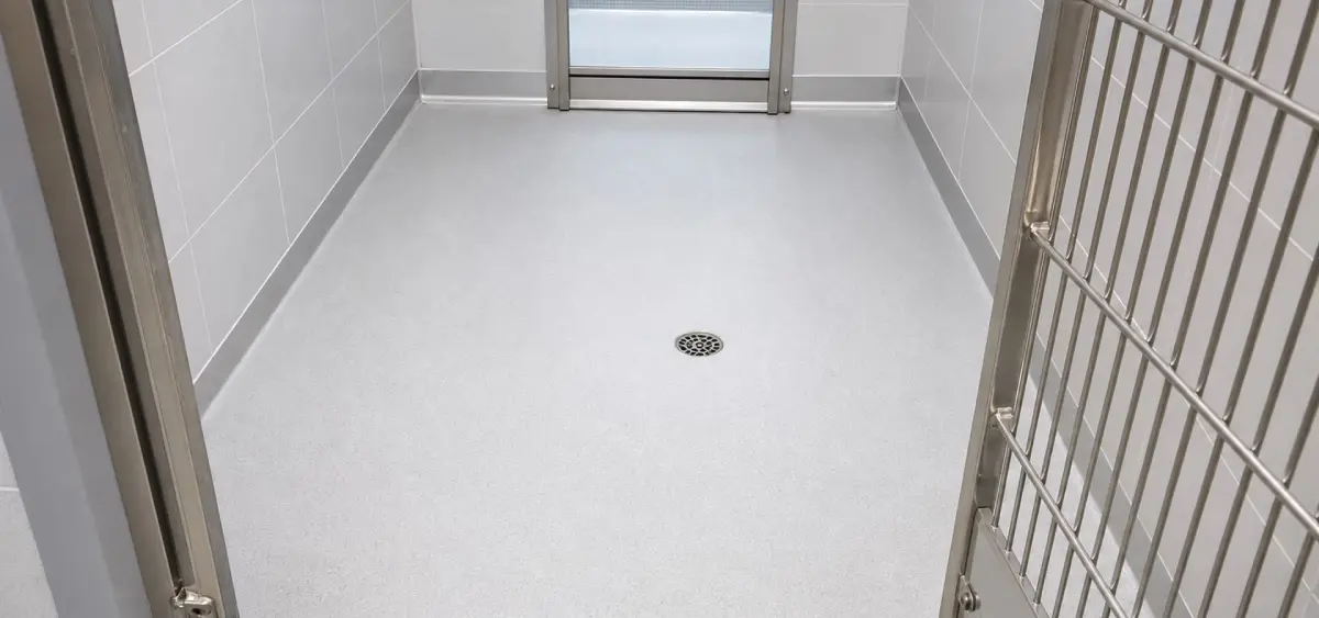 A J&P Coatings finished room shows a bright, neat space ready for use, highlighting the company’s quality work.